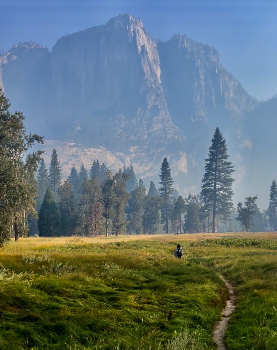A lone figure on a trail through a golden meadow below granite walls