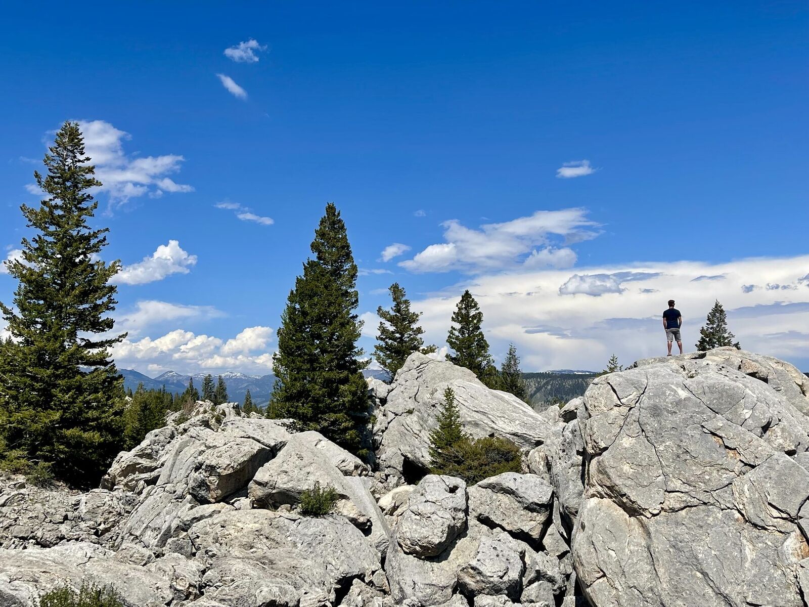 Above the treeline