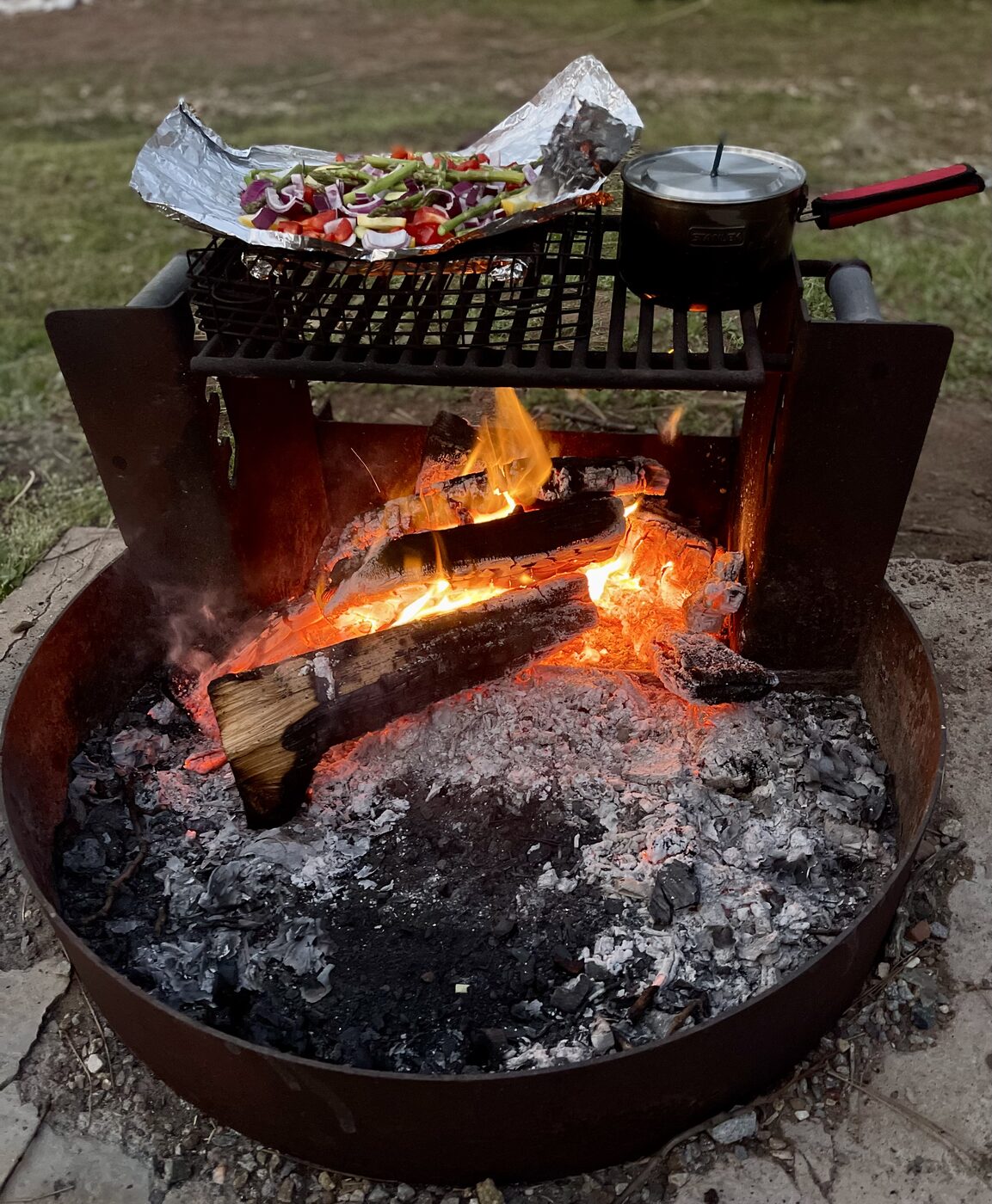 Vegetables and a pot cooking over a campfire grate