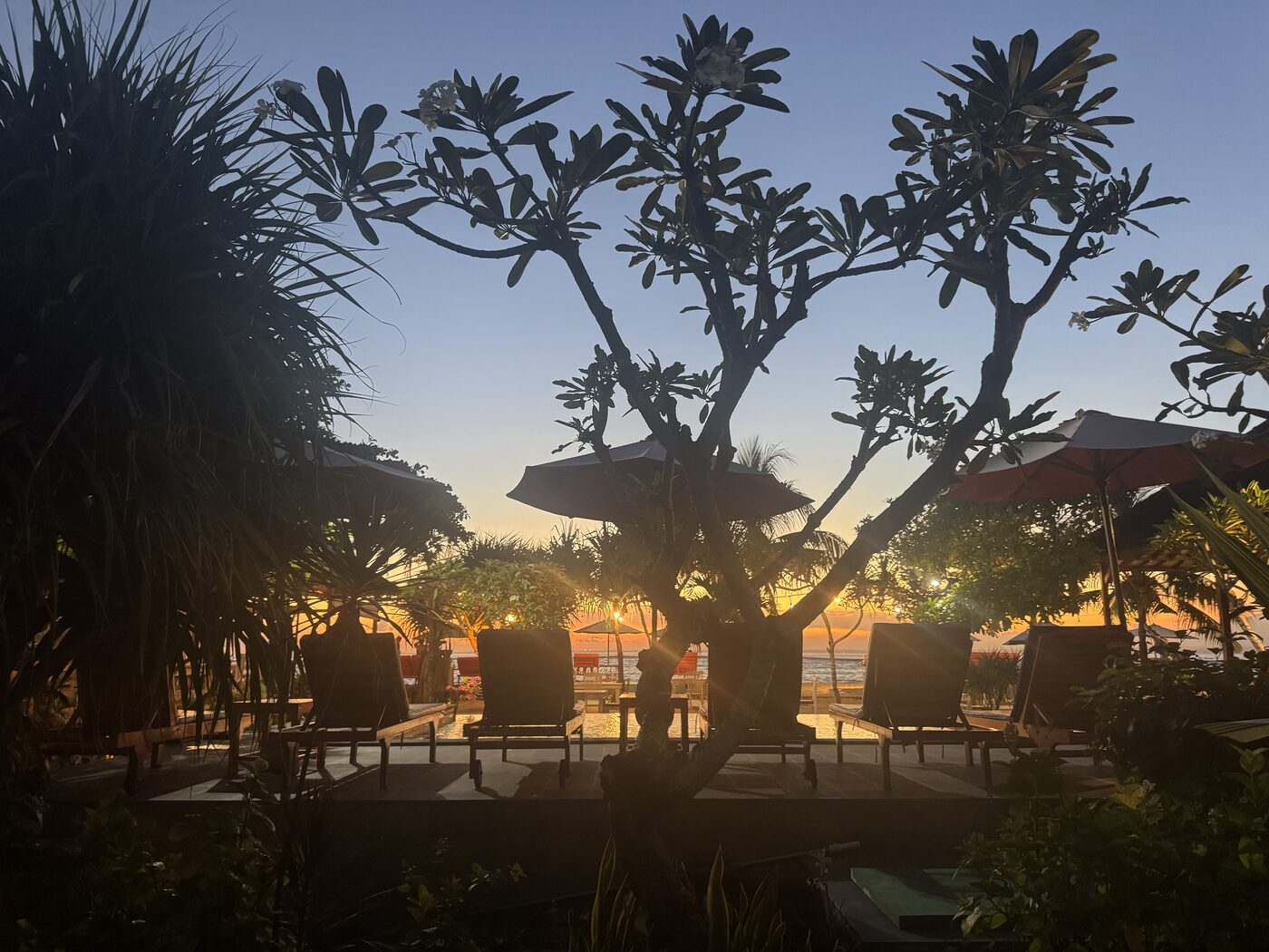 Sunset through frangipani trees on Nusa Lembongan